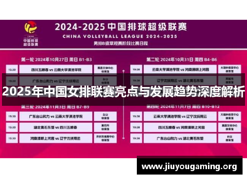 2025年中国女排联赛亮点与发展趋势深度解析