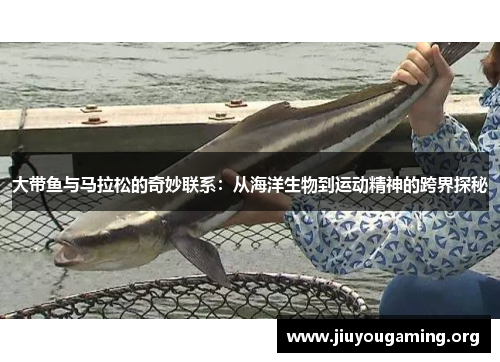 大带鱼与马拉松的奇妙联系：从海洋生物到运动精神的跨界探秘